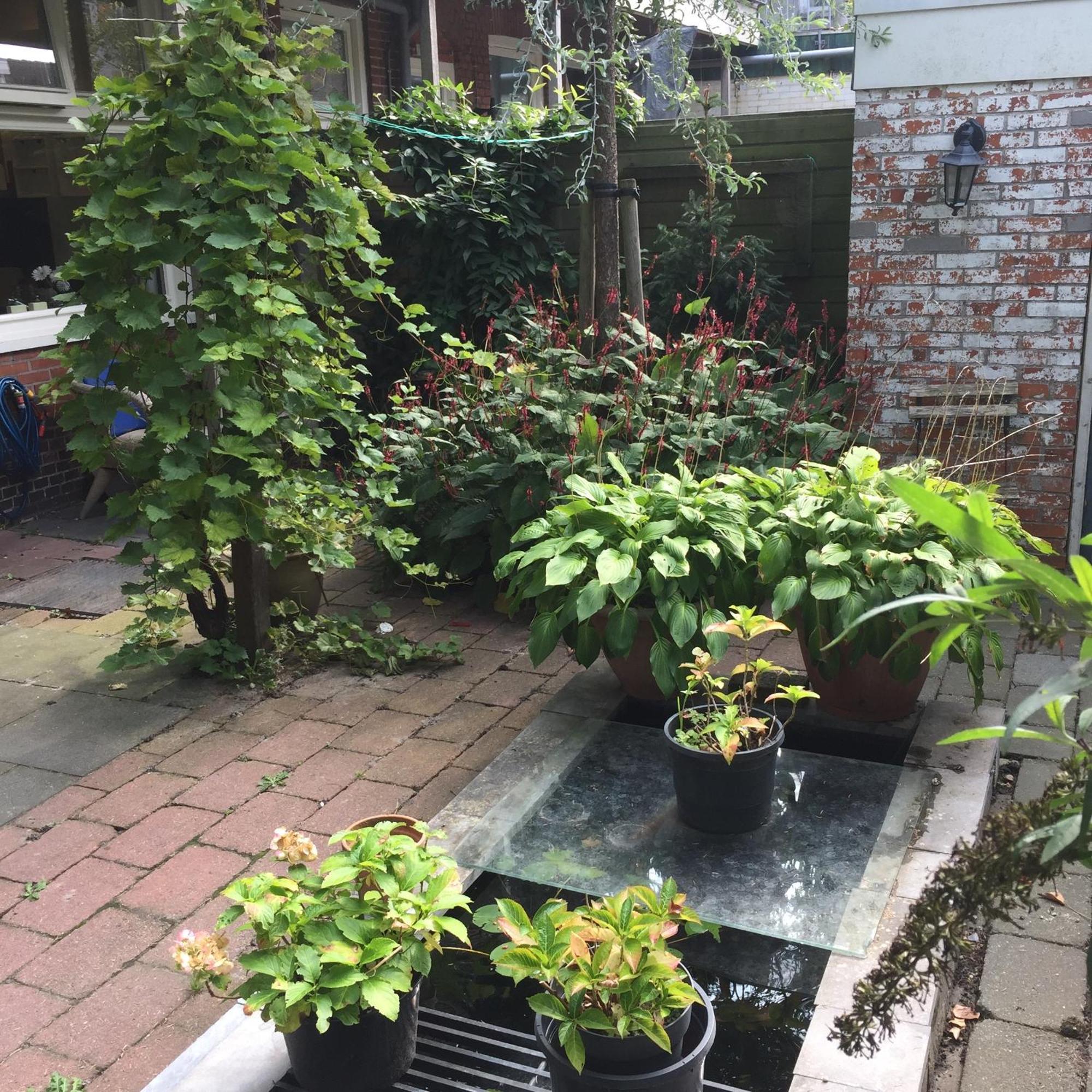 Cessinas Bed & Breakfast Groningen Exterior photo